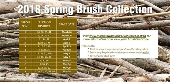 2018 Spring Brush Collection