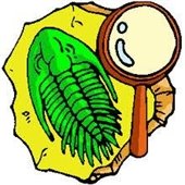 Community Fossil Hunt 