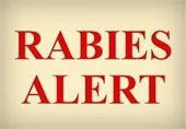 Rabies Alert