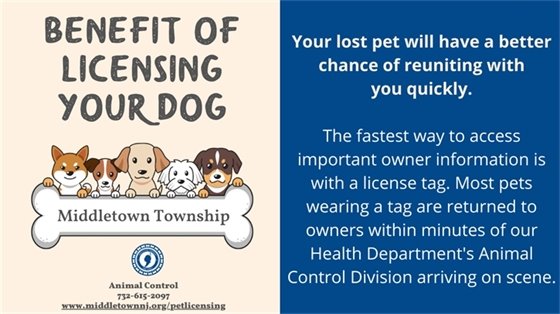 Benefit of Licensing Your Dog: Your lost pet will have a better chance of reuniting with  you quickly. The fastest way to access important owner information is with a license tag. Most pets wearing a tag are returned to owners within minutes of our Health Department's Animal Control Division arriving on scene.