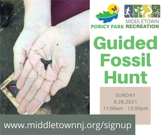 Guided Fossil Hunt