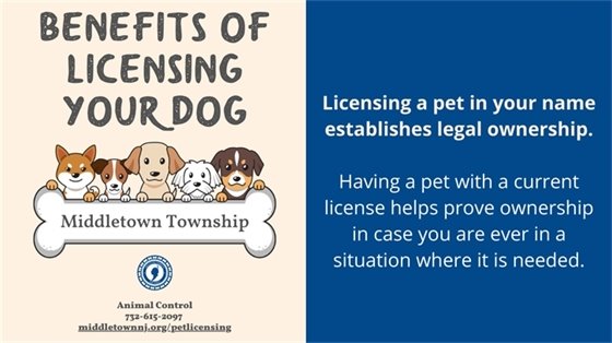 Licensing a pet in your name establishes legal ownership.  Having a pet with a current license helps prove ownership in case you are ever in a situation where it is needed.