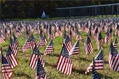 Field of Flags
