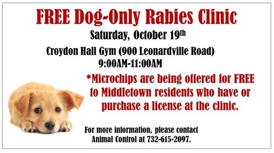 Dog Only Rabies Clinic 