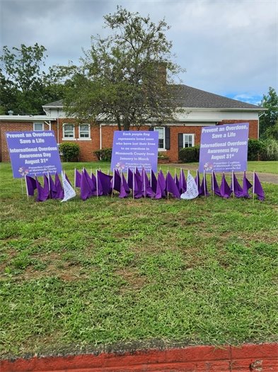 Photo of purple and white flags