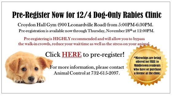 Dog Rabies Clinic