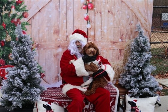 Santa and dog