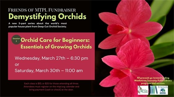 MTPL Demystifying Orchids