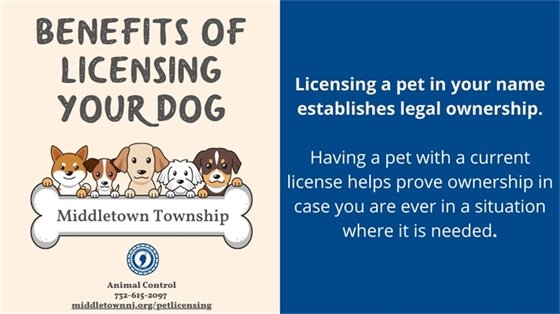 Benefits of Licensing Your Dog: You will be complying with the law. Dogs are legally required to be licensed in New Jersey, so please license your dog to avoid any unnecessary consequences.