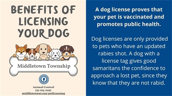 Benefit of Licensing Your Dog: A dog license proves that your pet is vaccinated and promotes public health. Dog licenses are only provided to pets who have an updated rabies shot. A dog with a license tag gives good samaritans the confidence to approach a lost pet, since they know that they are not rabid.