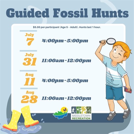 Recreation Guided Fossil Hunts