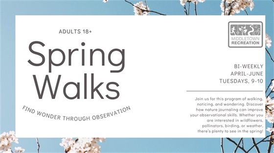 Spring Observation Wonder Walk