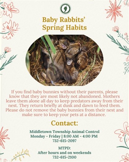 If you find baby bunnies without their parents, please know that they are most likely not abandoned. Mothers leave them alone all day to keep predators away from their nest. They return briefly at dusk and dawn to feed them. Please do not remove the baby bunnies from their nest and make sure to keep your pets at a distance.