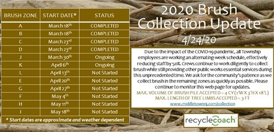 2020 Brush Collection Update