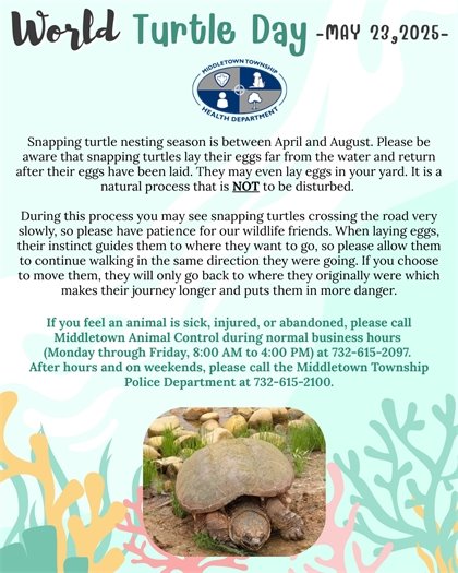 Snapping Turtles