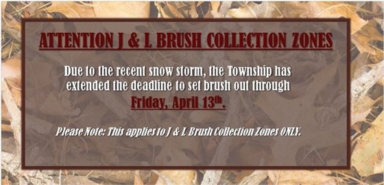 J & L Brush Collection 