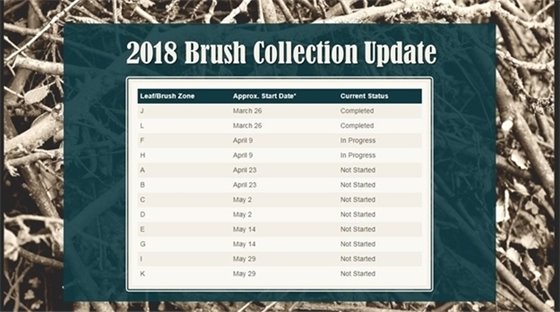 Brush Collection Update 