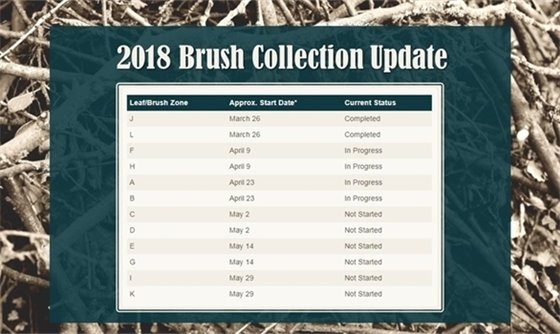 Brush Collection Update 