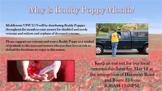Buddy Poppy Month