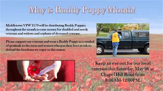 Buddy Poppy Month