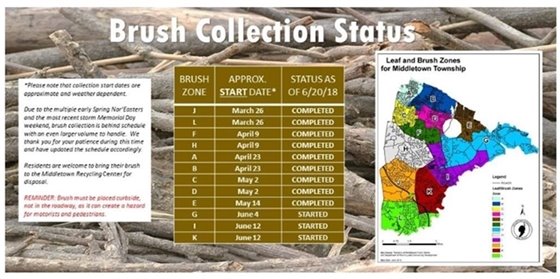 Brush Collection Status 