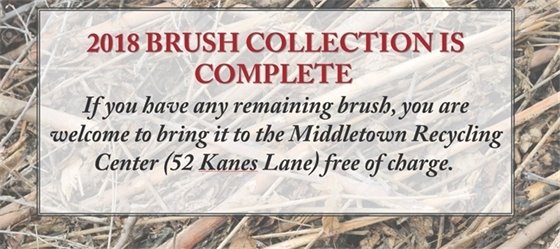 Brush Collection Complete 