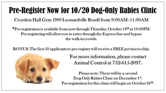 Dog Only Rabies Clinic