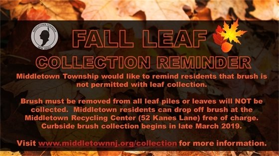 Fall Leaf Collection Reminder- No Brush 