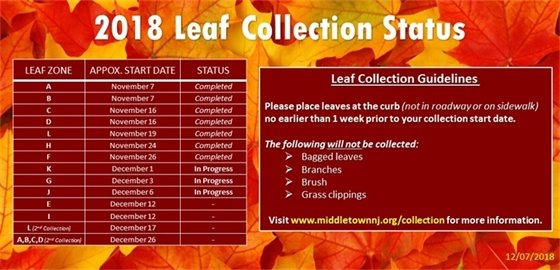 2018 Fall Leaf Collection Update 