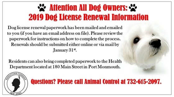 2019 Dog License Renewal 