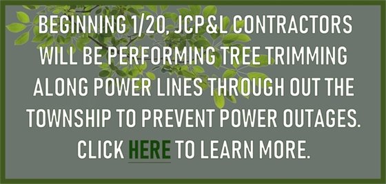 JCP&L Tree Trimming