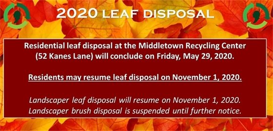 2020 Leaf Disposal 