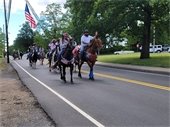 Horses at Memorial Day Parade
