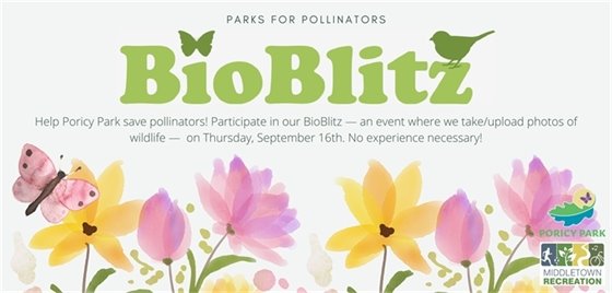 BioBlitz