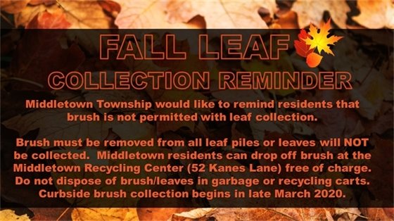 FALL LEAF COLLECTION REMINDER- NO BRUSH