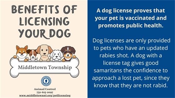 Benefit of Licensing Your Dog: A dog license proves that your pet is vaccinated and promotes public health. Dog licenses are only provided to pets who have an updated rabies shot. A dog with a license tag gives good samaritans the confidence to approach a lost pet, since they know that they are not rabid.