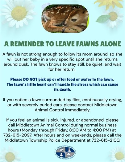 Reminder to Leave Fawns Alone