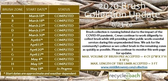 2020 Brush Collection Update