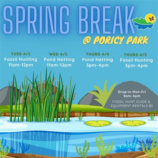 Middletown Recreation Spring Break