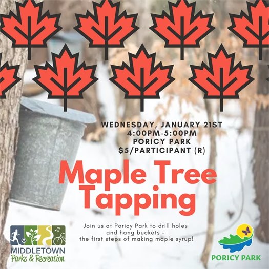 Middletown Parks & Recreation Maple Tree Tapping