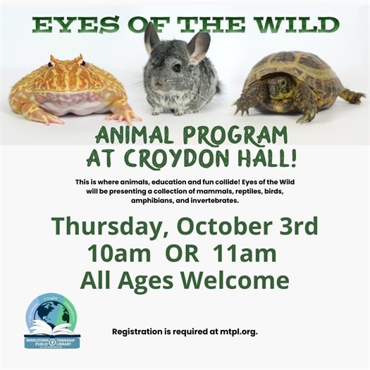 MTPL Eyes of the Wild