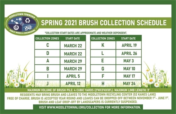 Spring 2021 Brush Collection 