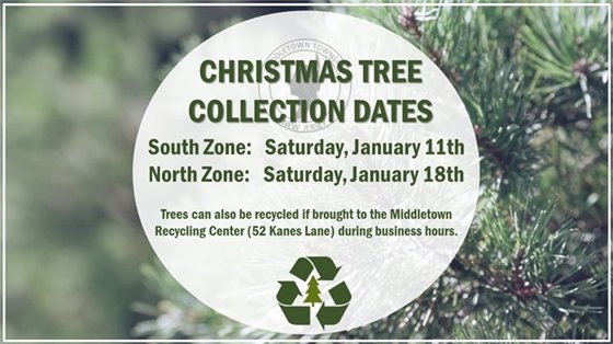 Christmas Tree Pickup