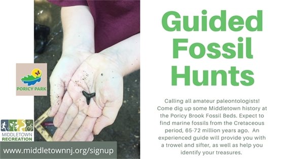 Guided Fossil Hunts