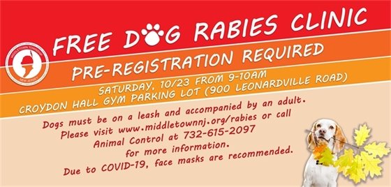 Dog Rabies Clinic