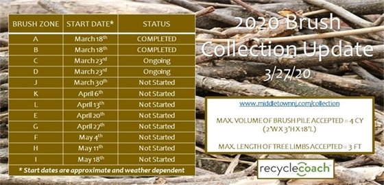 2020 Brush Collection Update