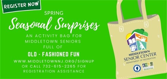 Senior Seasonal Surprises 