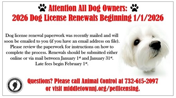 Dog License Renewals