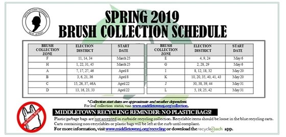 2019 Spring Brush Collection