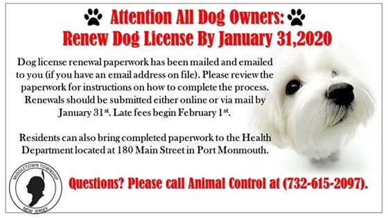 Dog License 2020